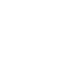 Shipping icon